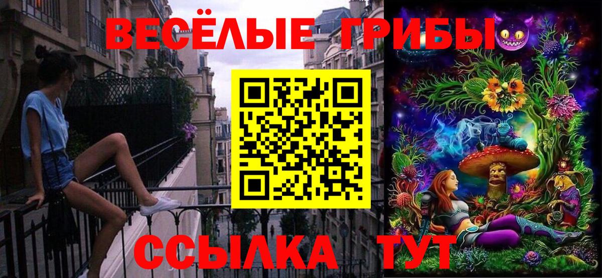 Псилоцибиновые грибы MAGIC MUSHROOMS Старая Купавна
