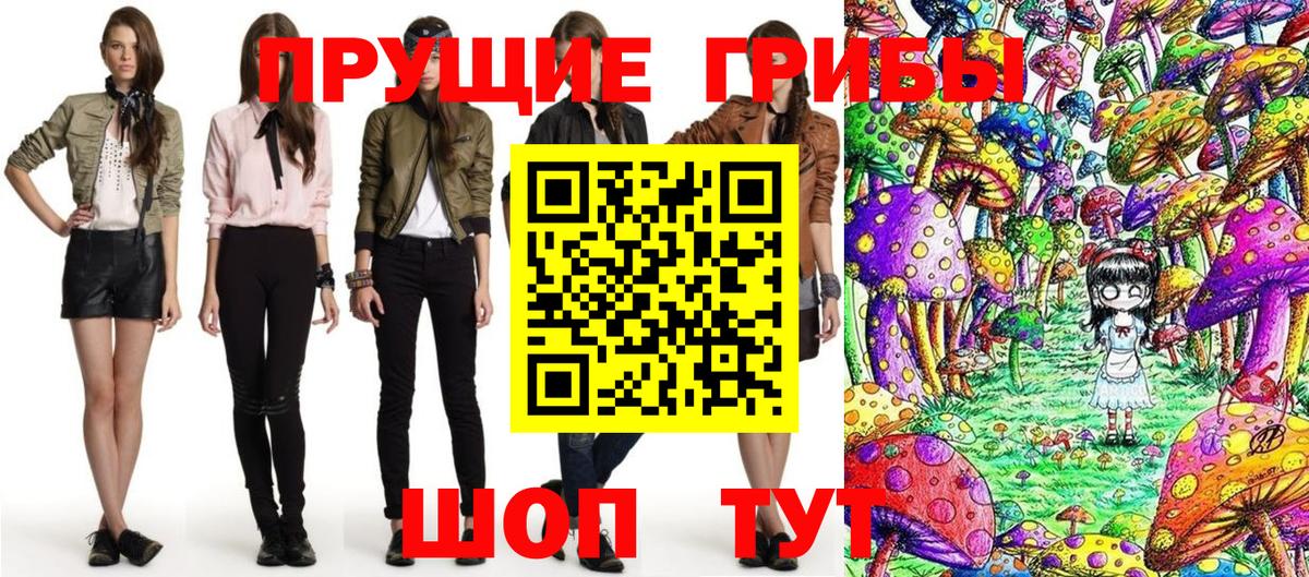 Галлюциногенные грибы Psilocybe Старая Купавна