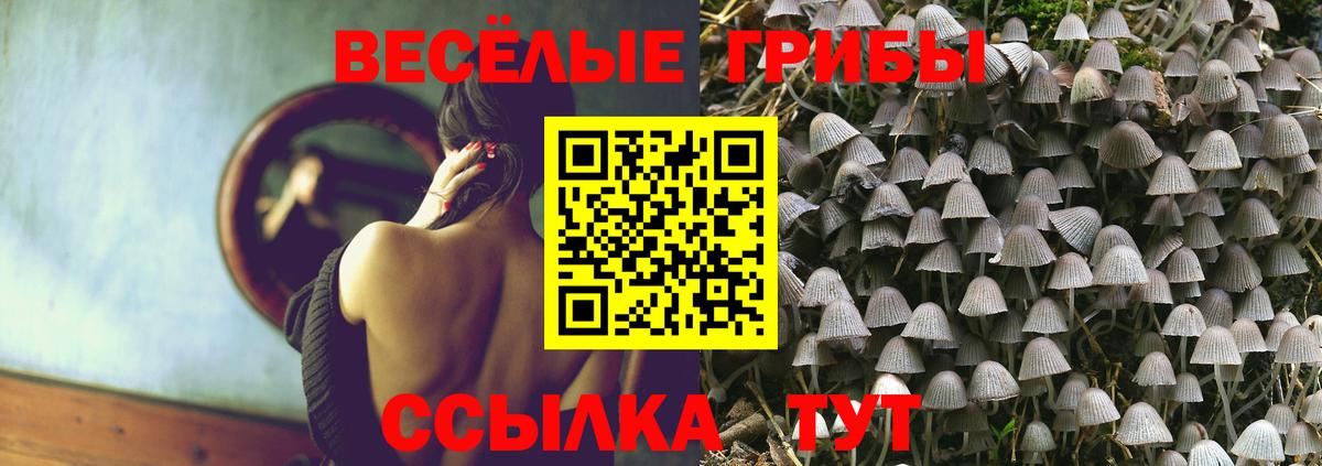 Старая Купавна  Псилоцибиновые грибы Cubensis  Вход с VPN 