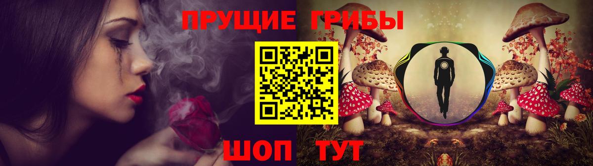 Галлюциногенные грибы MAGIC MUSHROOMS  цены   Старая Купавна 